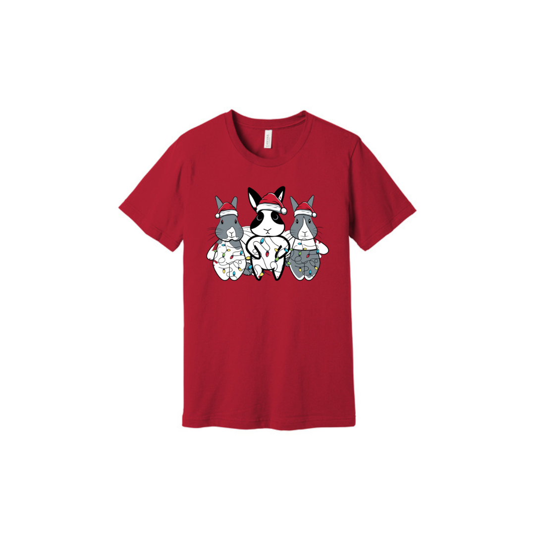 Holiday Bunny Tee ππ