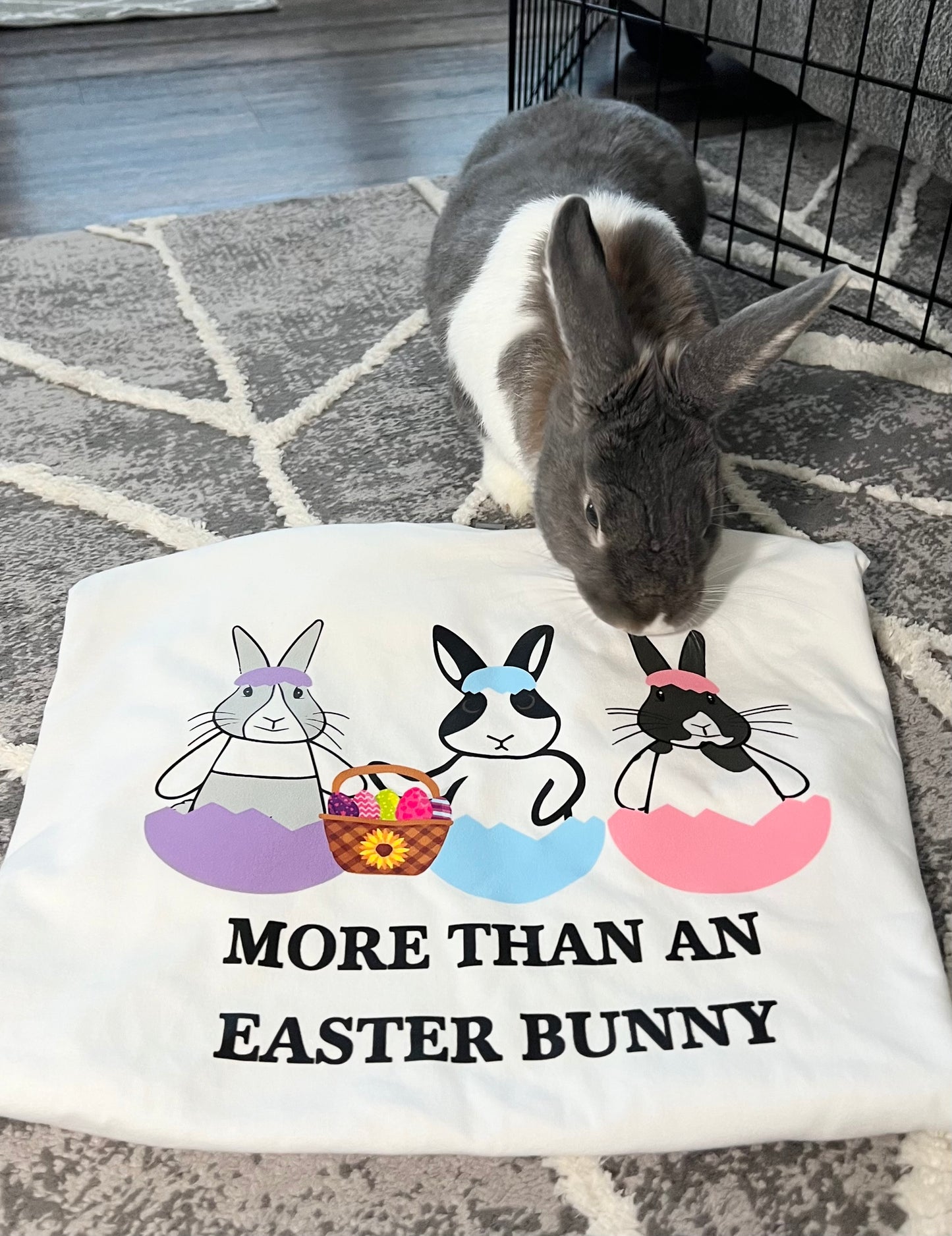 Binky Easter T-Shirt