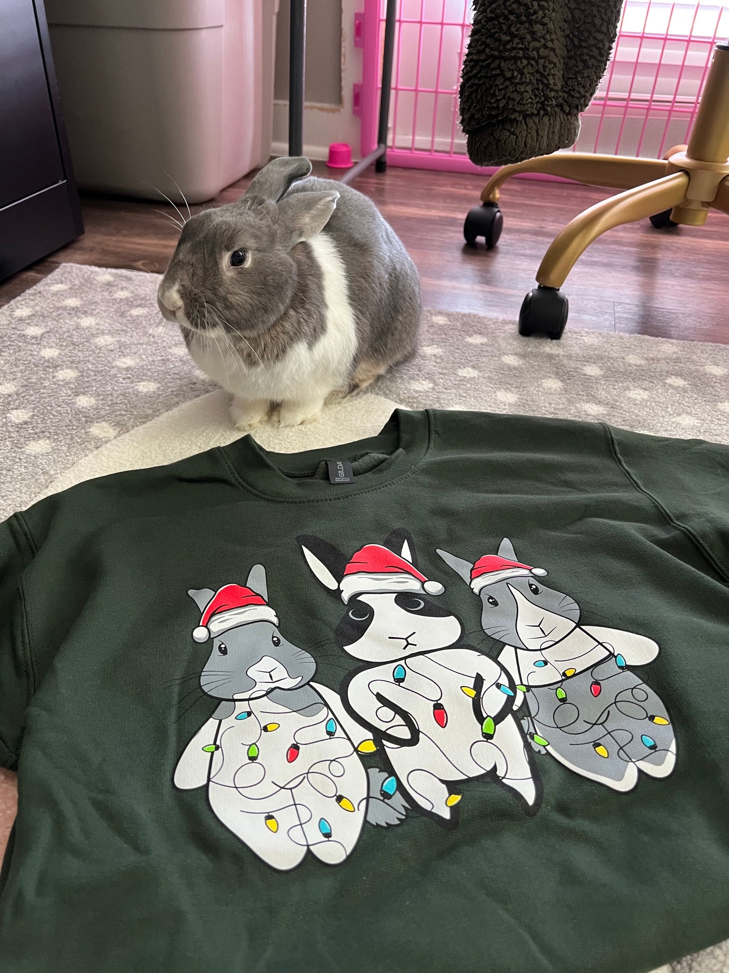 Binky Holiday Crewneck ππ