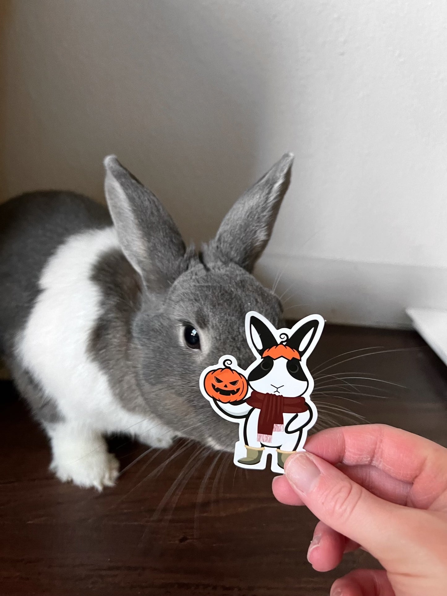 Binky Fall Sticker