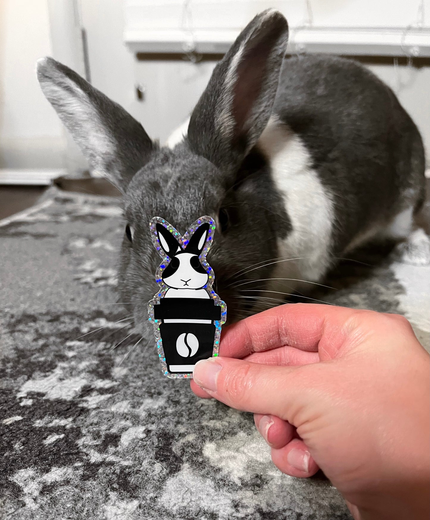 Binky Glitter Sticker