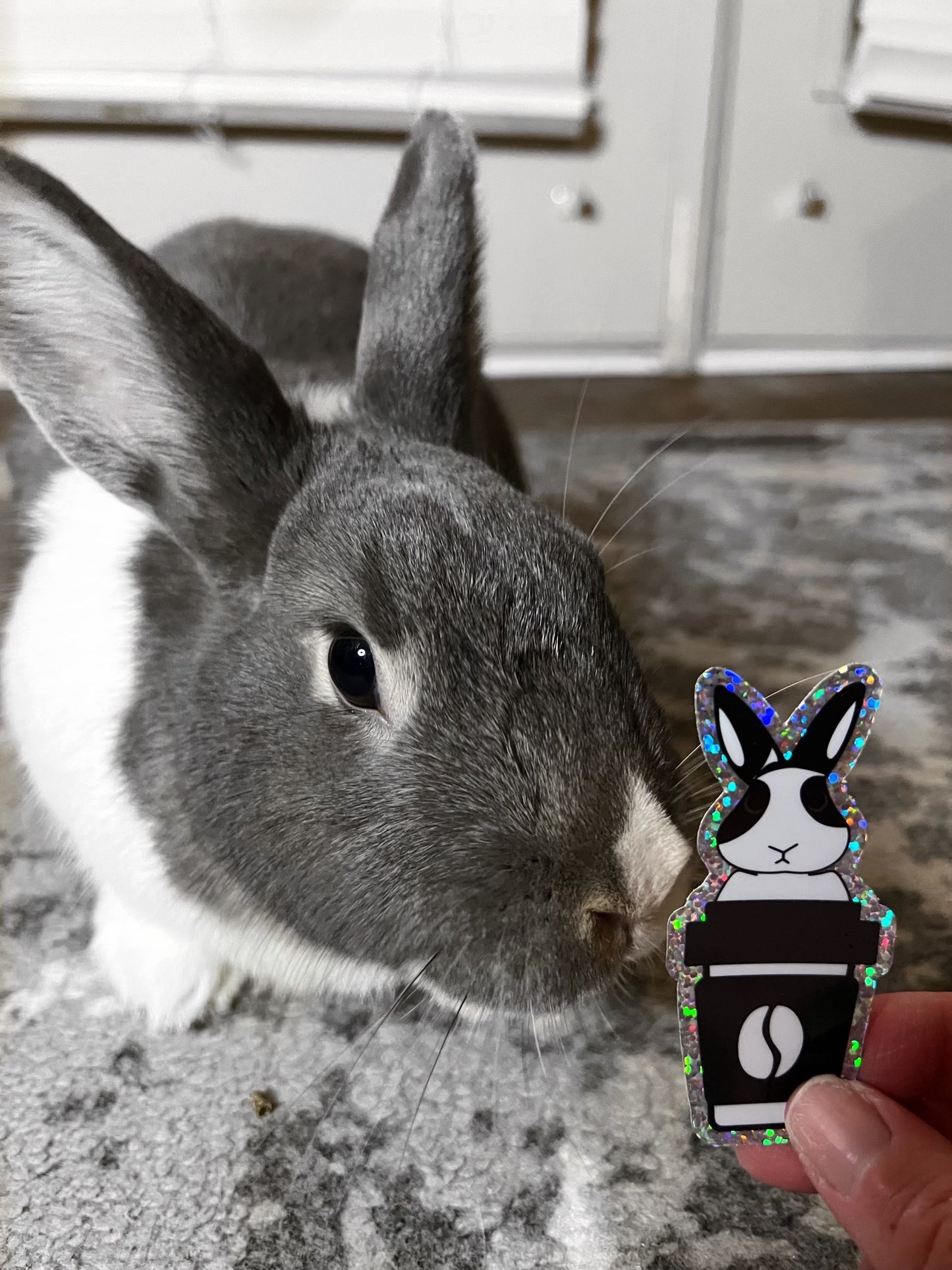 Binky Glitter Sticker