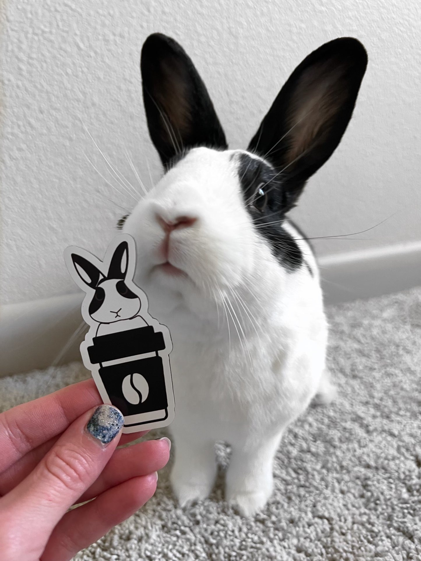 Binky Magnet