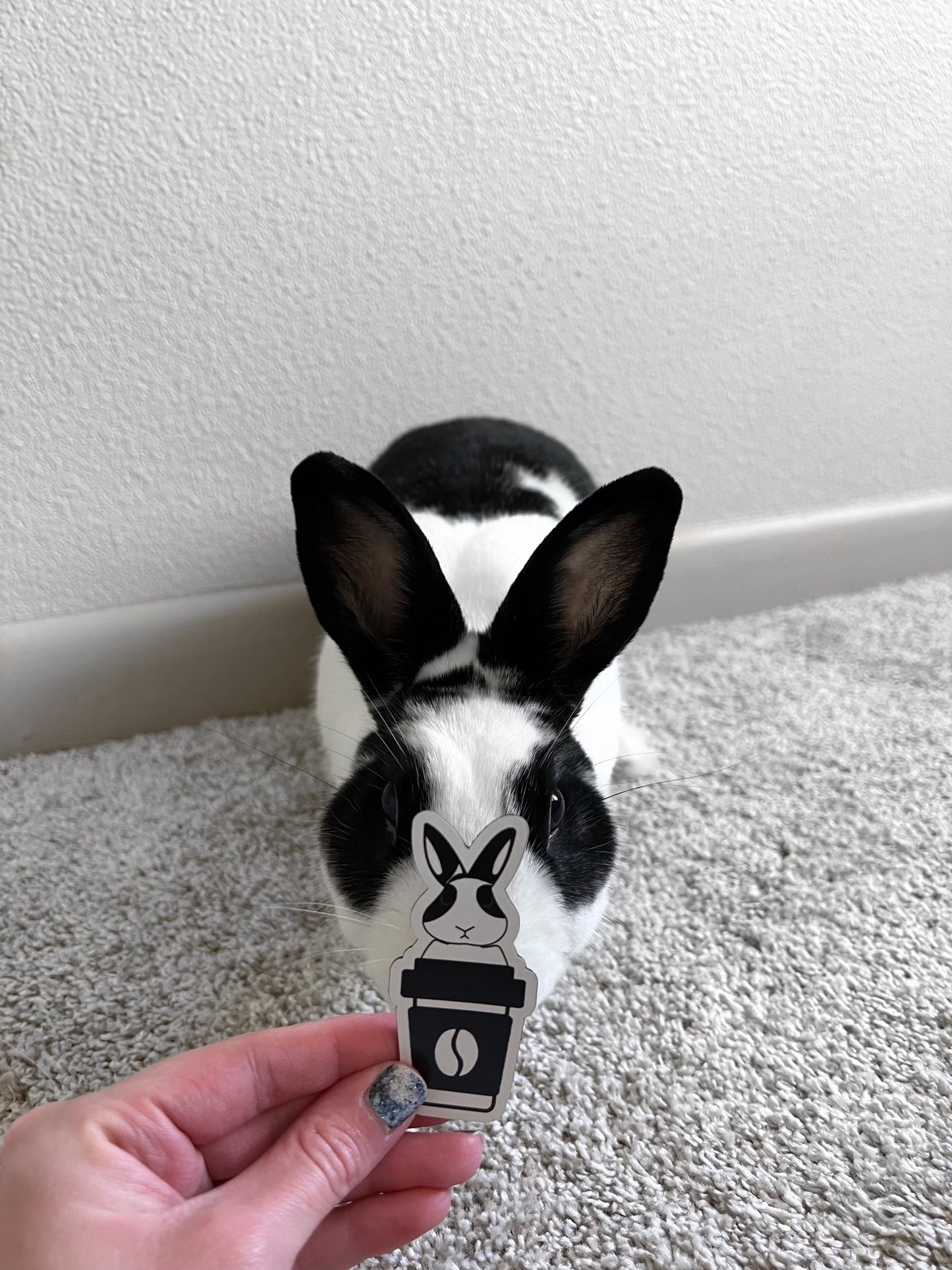 Binky Magnet