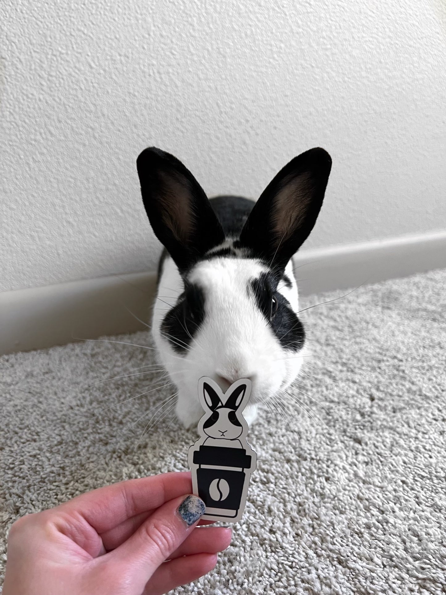 Binky Magnet
