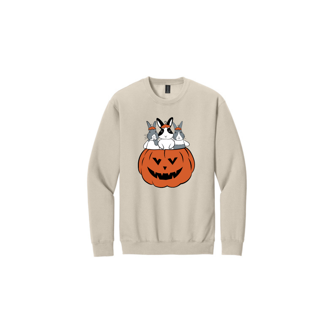 Binky Pumpkin Crewneck 🎃