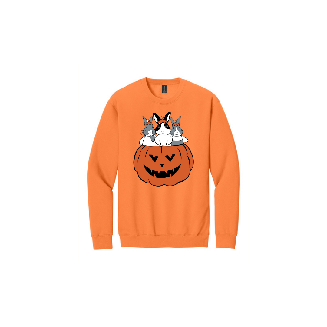 Binky Fall Crewneck Bun🐰-dle (Orange)