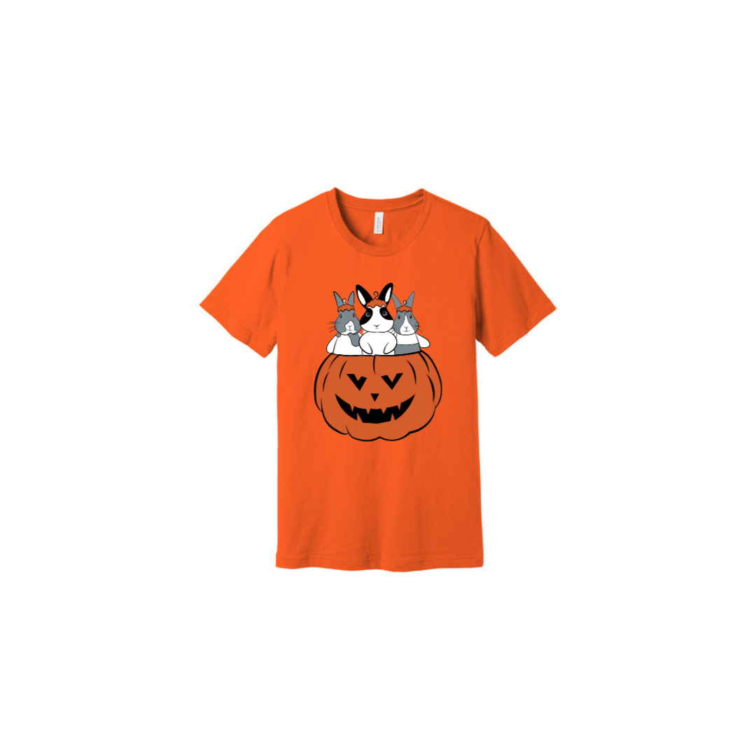 Binky Fall T-Shirt Bun🐰-dle (Orange)
