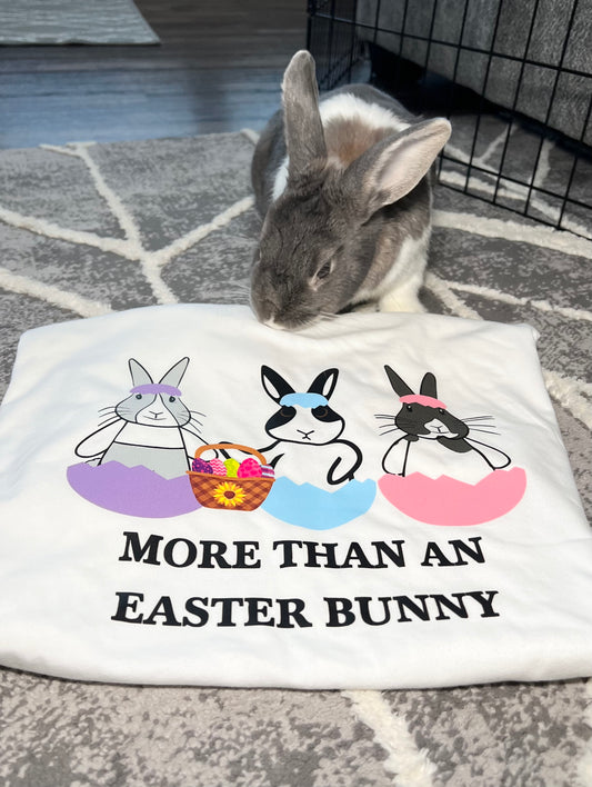 Binky Easter T-Shirt