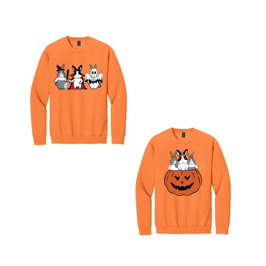 Binky Fall Crewneck Bun🐰-dle (Orange)