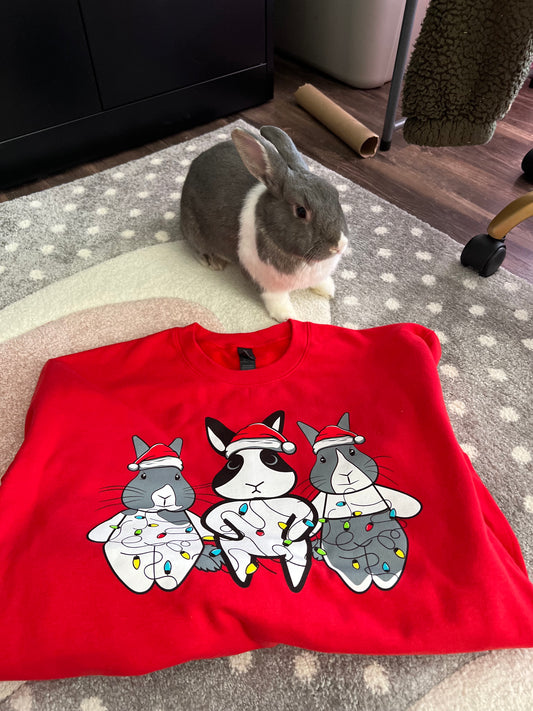 Binky Holiday Crewneck 🎄🎁