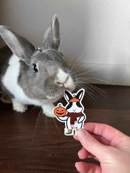 Binky Fall Sticker