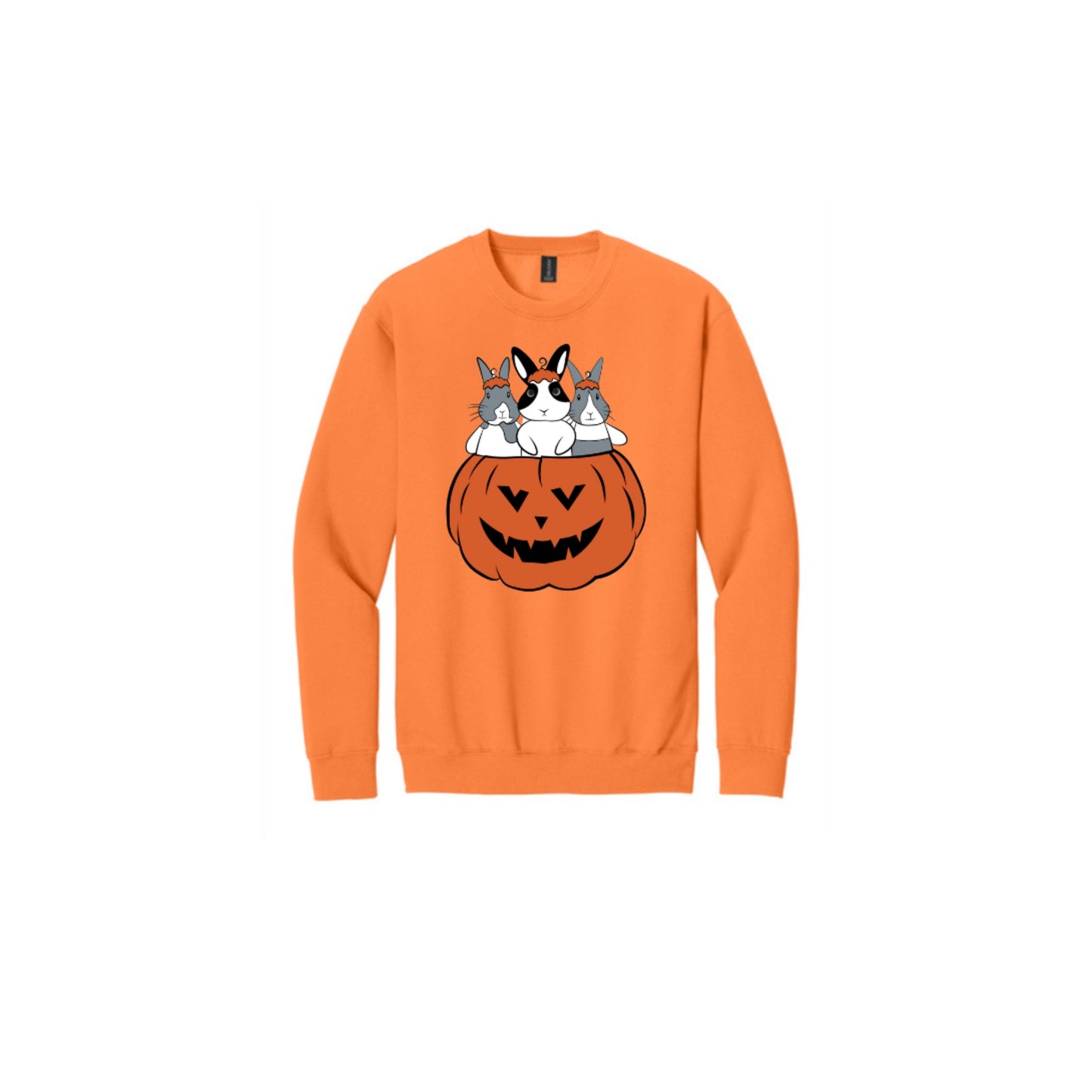 Binky Pumpkin Crewneck 🎃