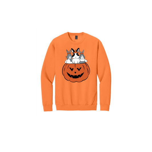 Binky Pumpkin Crewneck 🎃