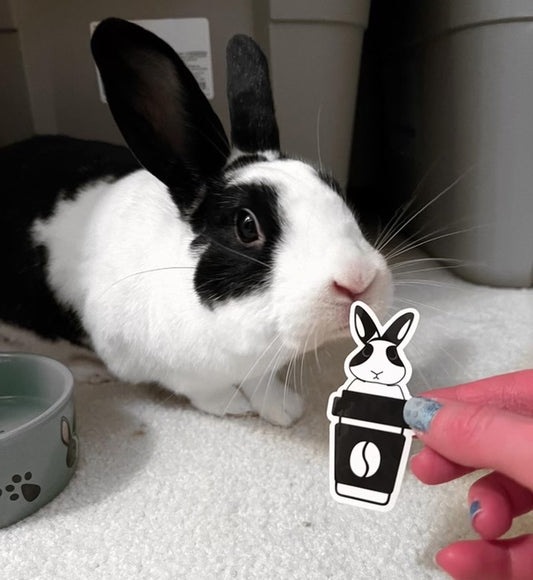 Binky Sticker